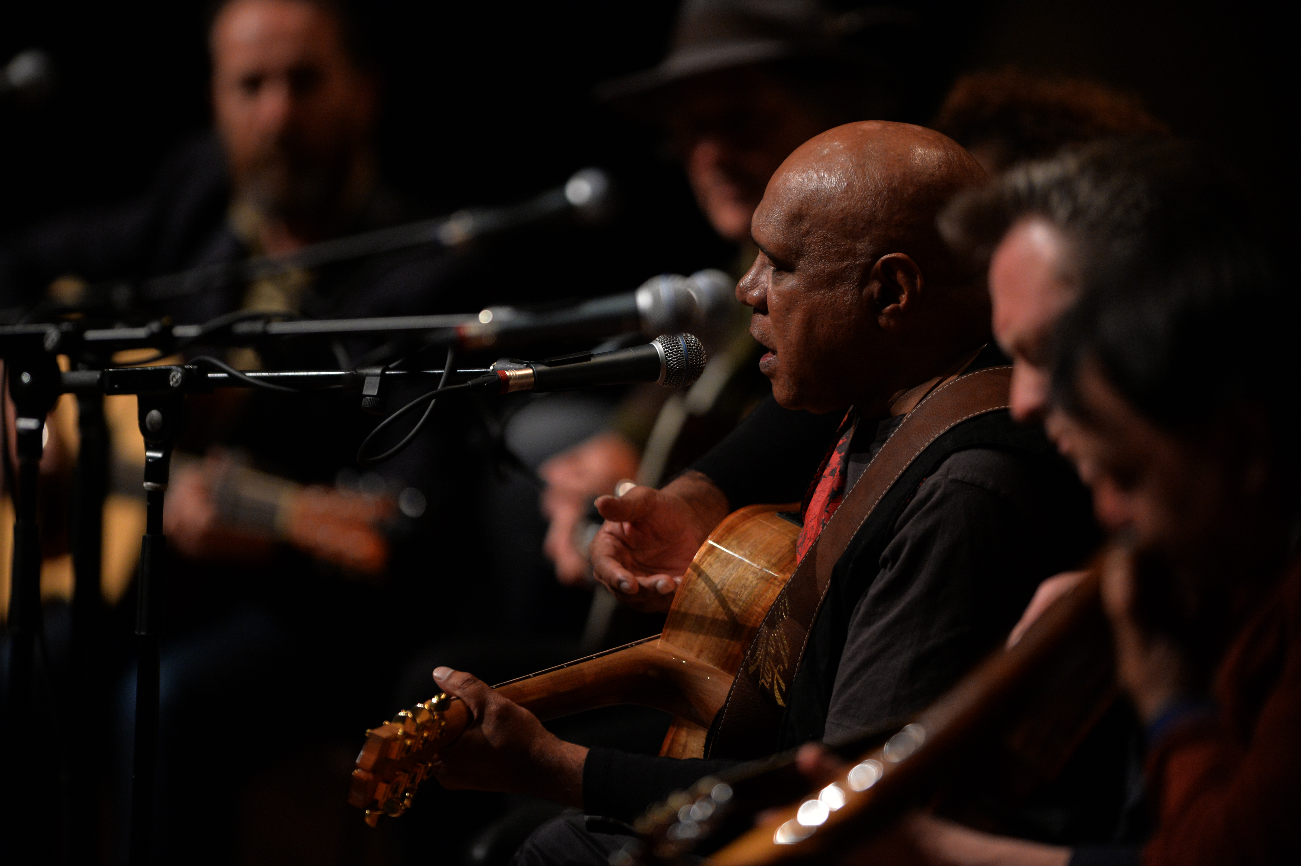 Commercial - ~/Content/Media/Commercial/LGGS Archie 01.jpg)